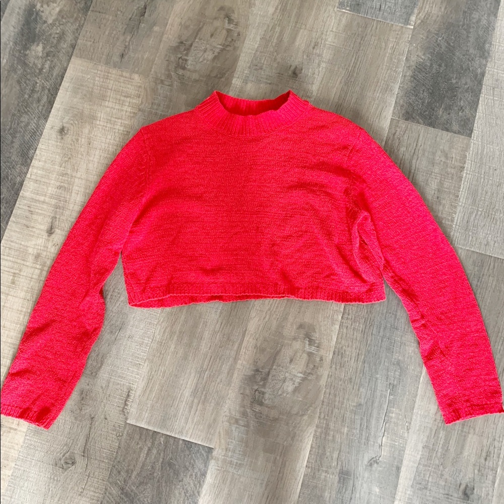 Wild Fable Cropped Red Sweater